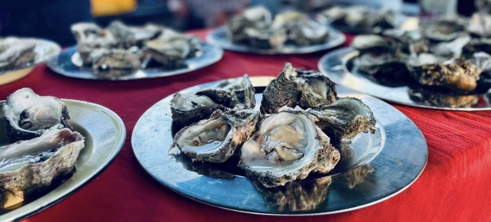 Profile slider image 1