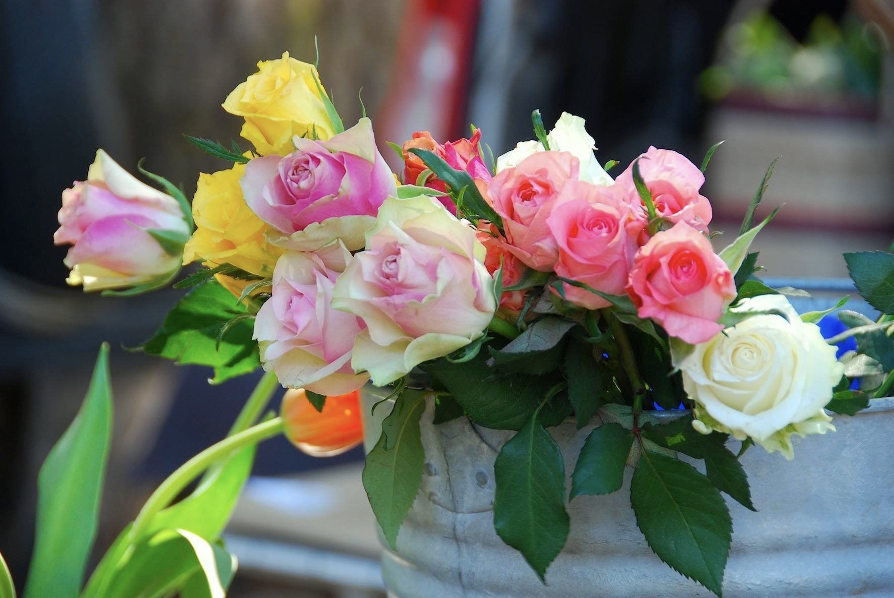 Profile slider image 4